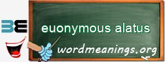 WordMeaning blackboard for euonymous alatus